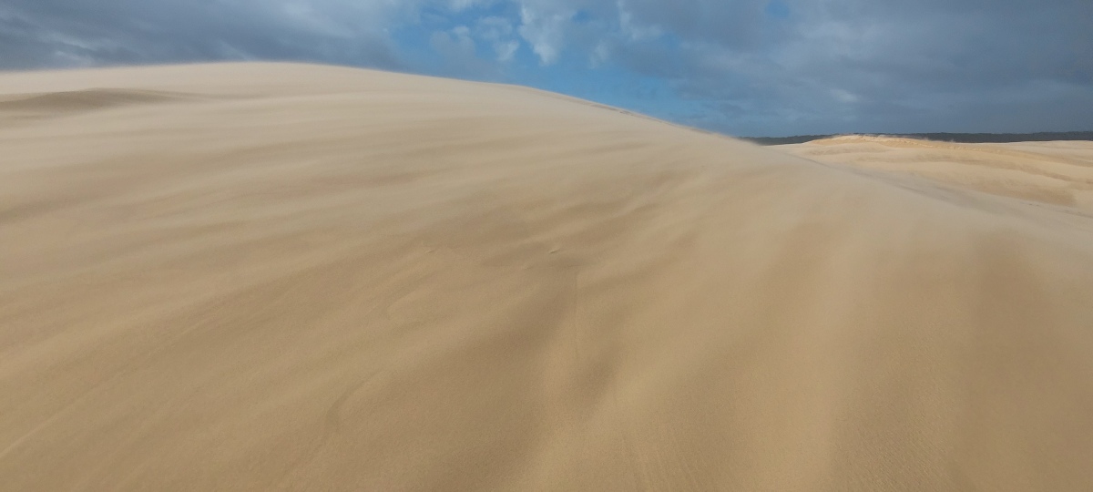 sand dune winds